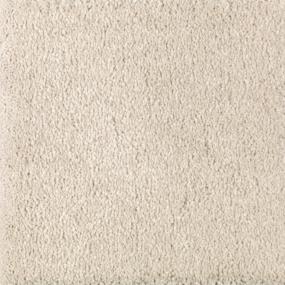 Textured Saxony Oatmeal Beige/Tan Carpet