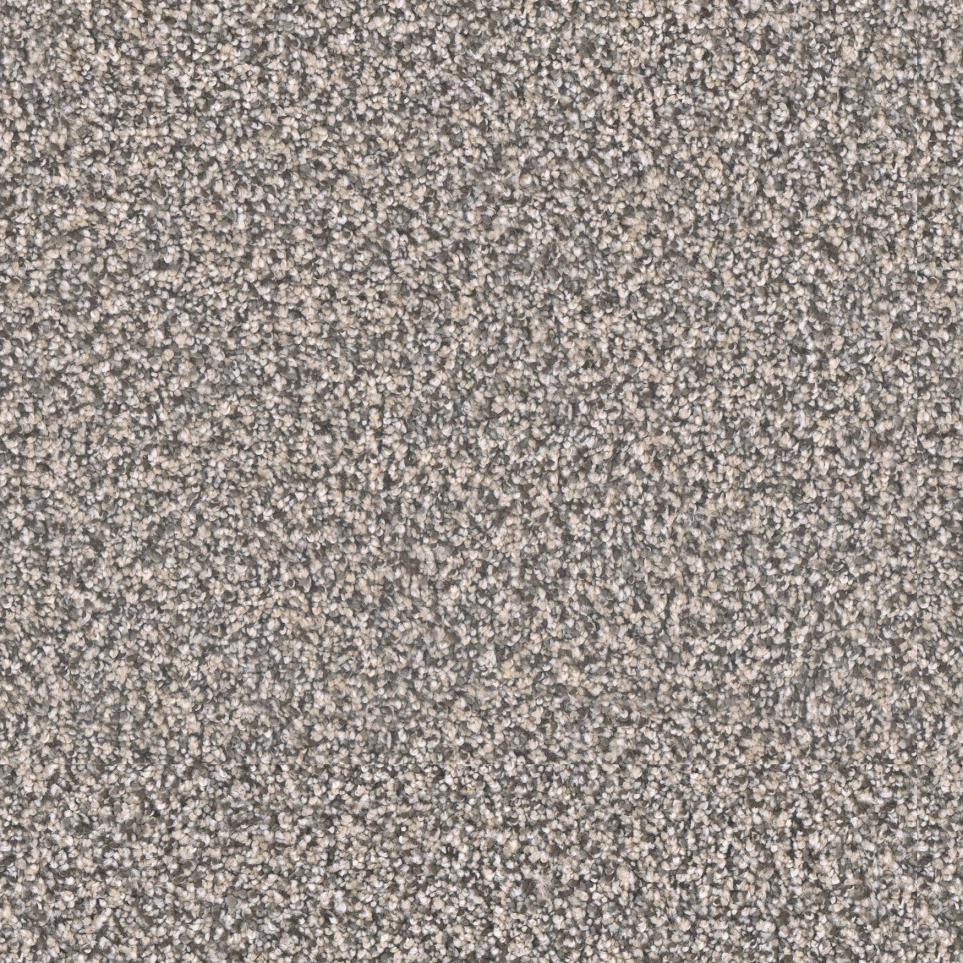 Textured Saxony Graduate Beige/Tan Carpet