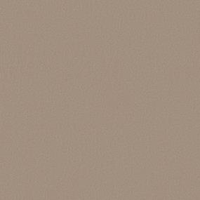 Texture Beach Cabana Brown Carpet