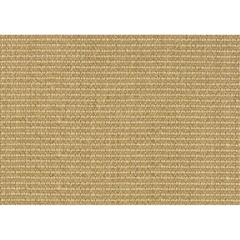 Specialty Summer Beige/Tan Carpet