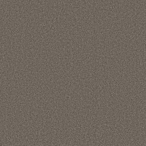 Textured Saxony Tannery Brown Carpet