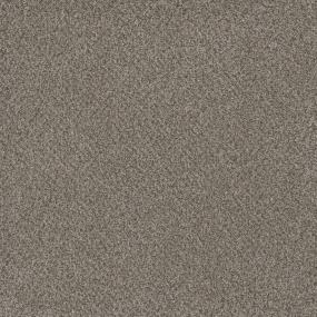 Texture Bountiful Brown Carpet