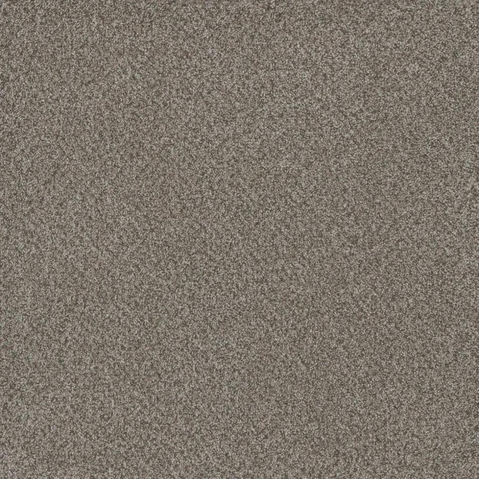 Texture Bountiful Brown Carpet