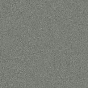 Texture Secret Escape Gray Carpet