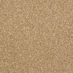 Casual Texture Yucatan Beige/Tan Carpet