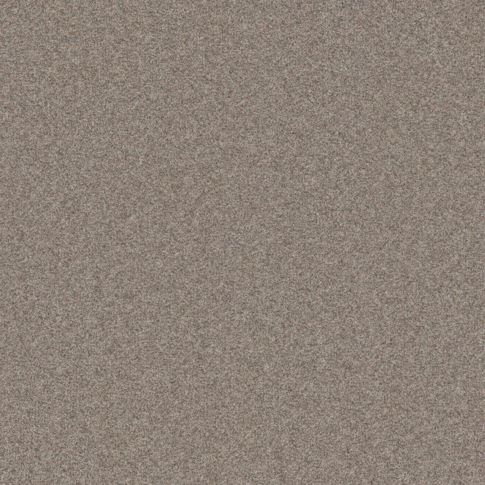 Textured Saxony Timeless Brown Carpet