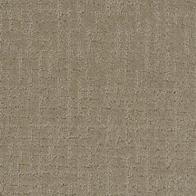Pattern Testament Beige/Tan Carpet