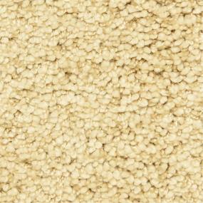 Casual Texture Beautiful Beige/Tan Carpet