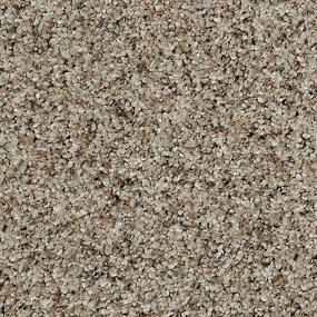 Textured Saxony IRONSTONE Brown Carpet