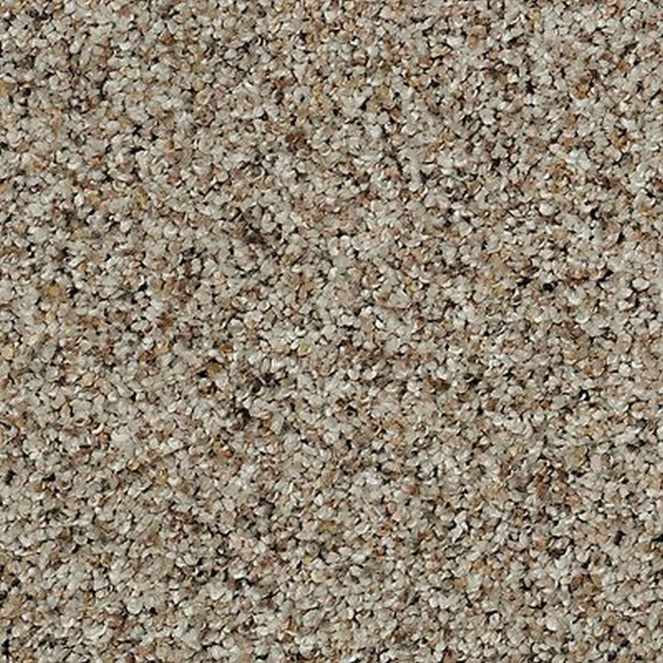 Textured Saxony IRONSTONE Brown Carpet