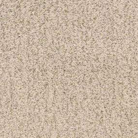 Textured Saxony Breakwater Beige/Tan Carpet