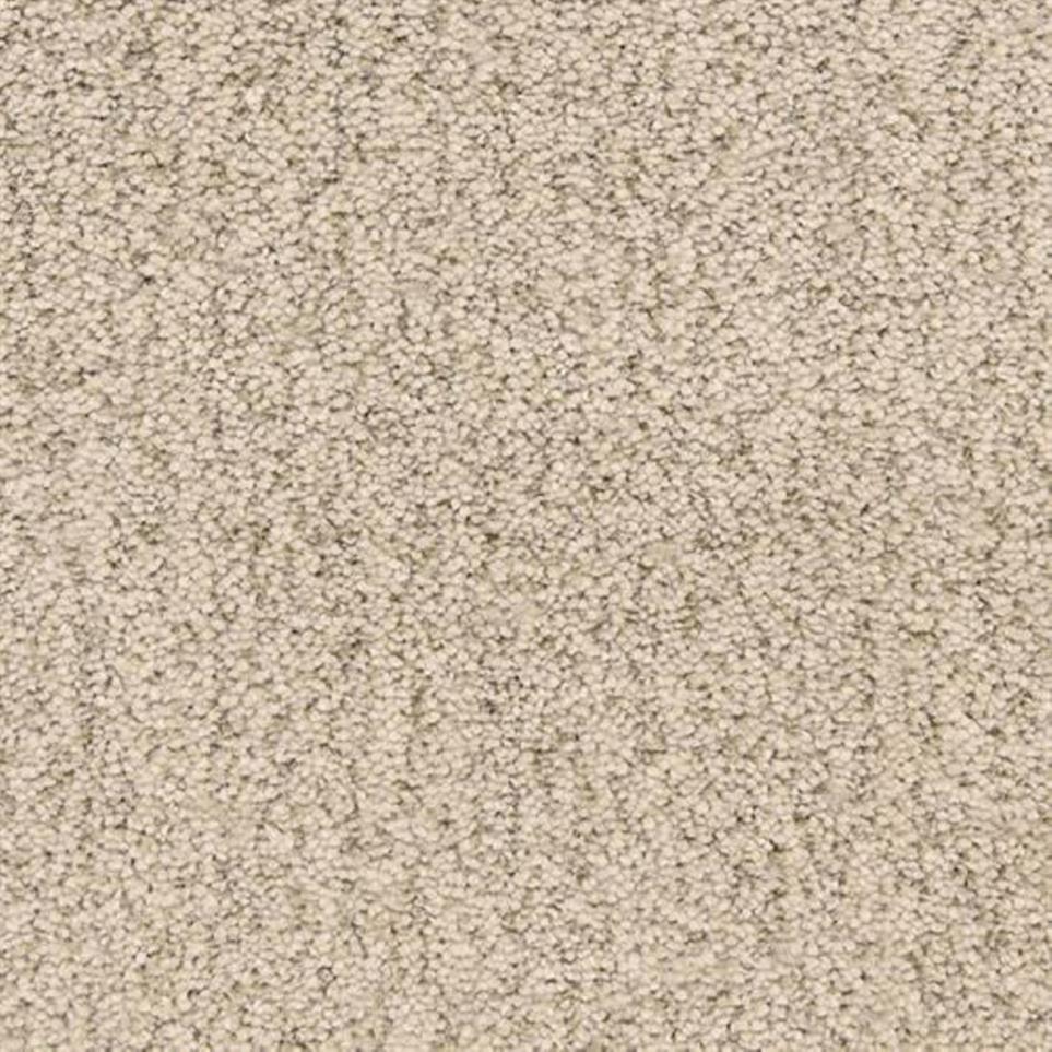 Textured Saxony Breakwater Beige/Tan Carpet