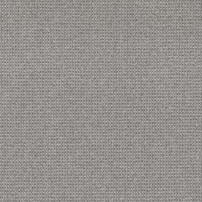 Berber Dolphin Gray Carpet