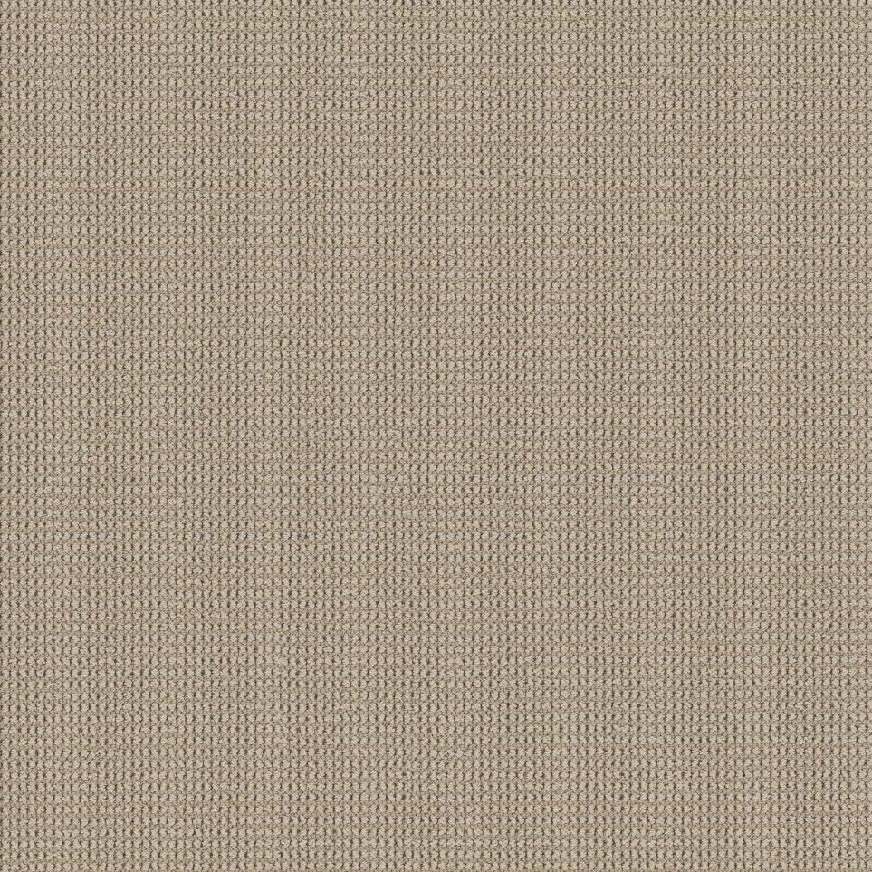 Loop Nutria Beige/Tan Carpet