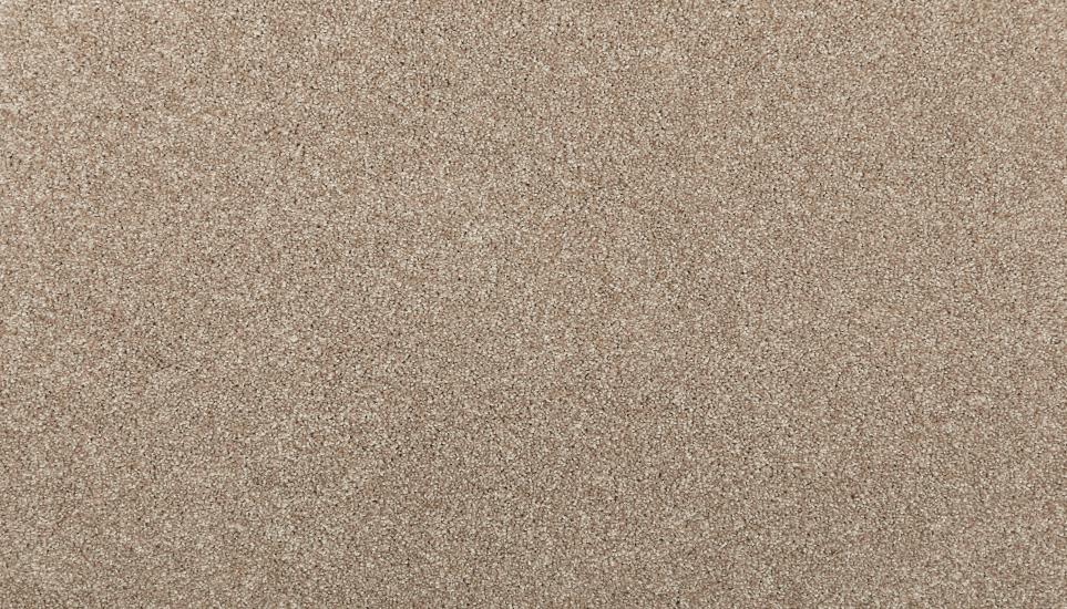 Textured Saxony Shanty Beige/Tan Carpet