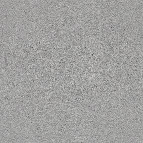 Textured Saxony Magnet Gray Carpet