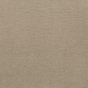 Pattern Bamboo Beige/Tan Carpet