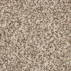 Textured Saxony Doe Eyes Beige/Tan Carpet
