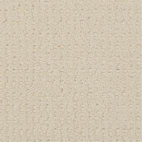 Pattern Silver Sage Beige/Tan Carpet