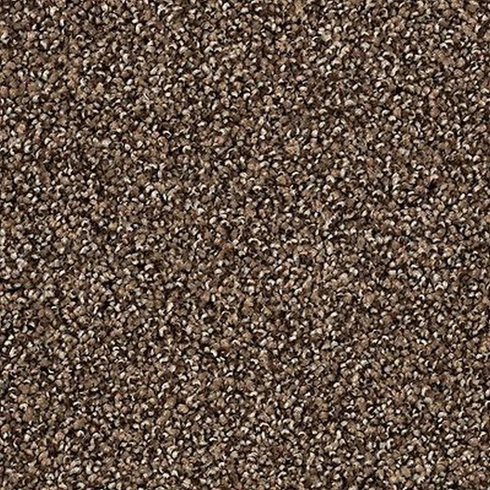 Textured Saxony Pinecone Brown Carpet