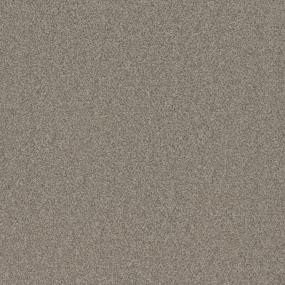 Textured Saxony Ocean Front Beige/Tan Carpet