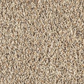 Texture Ocean Front Beige/Tan Carpet
