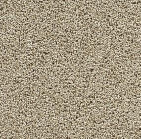 Textured Saxony Hall Of Fame Beige/Tan Carpet