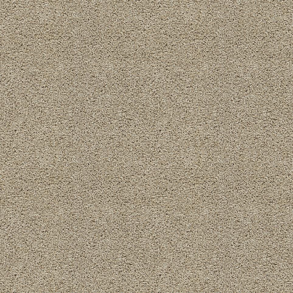 Textured Saxony Hall Of Fame Beige/Tan Carpet