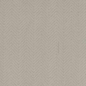 Pattern Canvas Beige/Tan Carpet