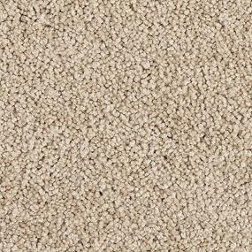 Texture Harmonious Beige/Tan Carpet