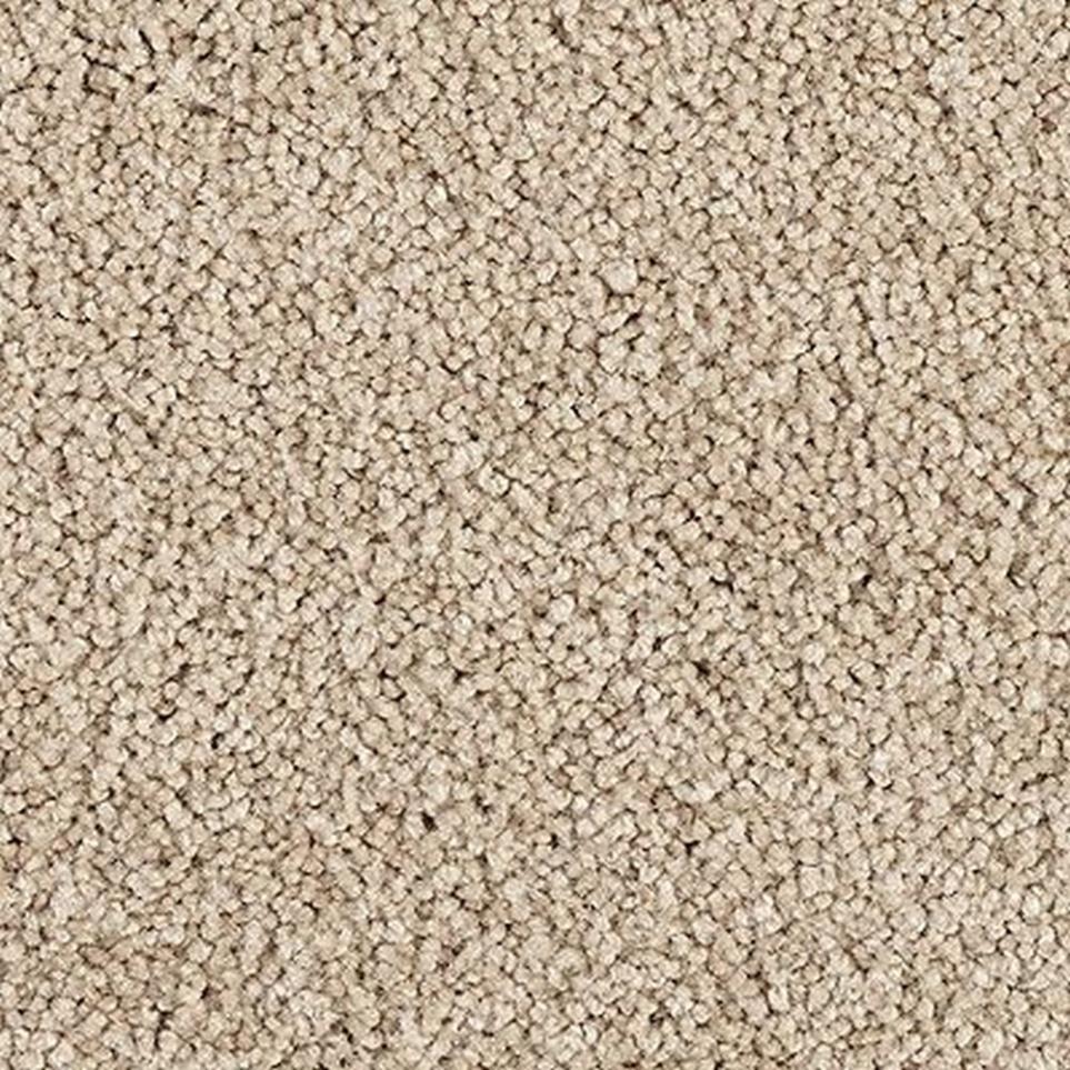 Texture Harmonious Beige/Tan Carpet