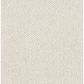 Pattern Pearl Dust White Carpet