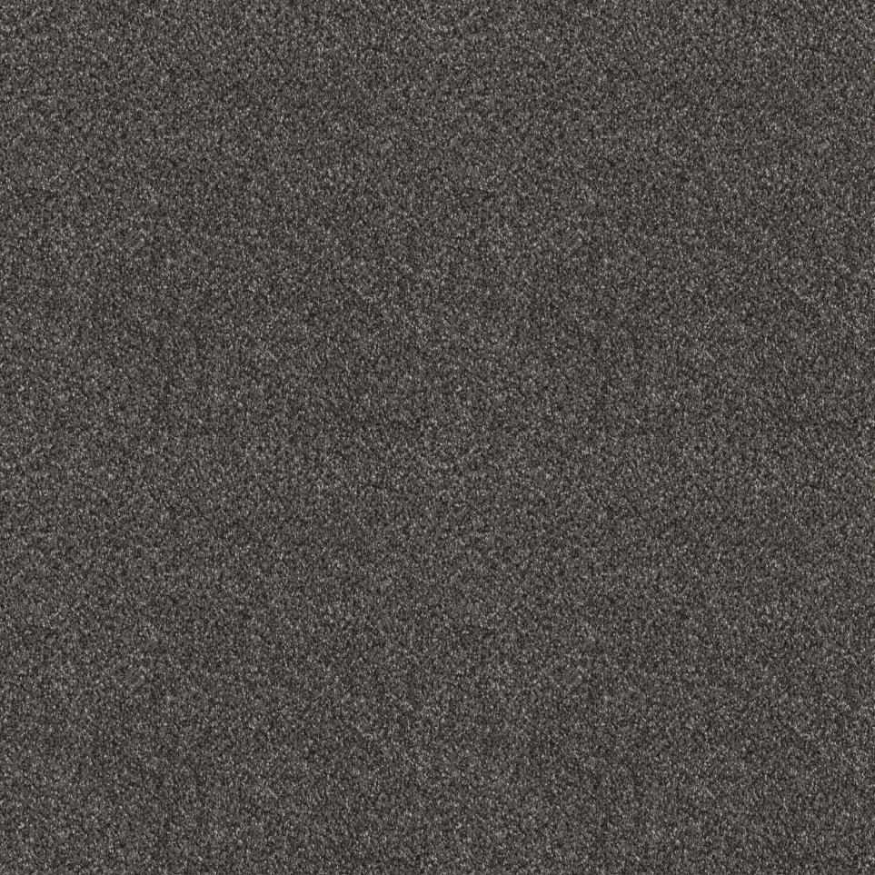 Texture Ground Coffee Gray Carpet