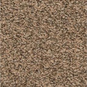 Textured Saxony Everything Beige/Tan Carpet