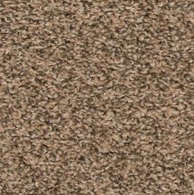 Texture Everything Beige/Tan Carpet