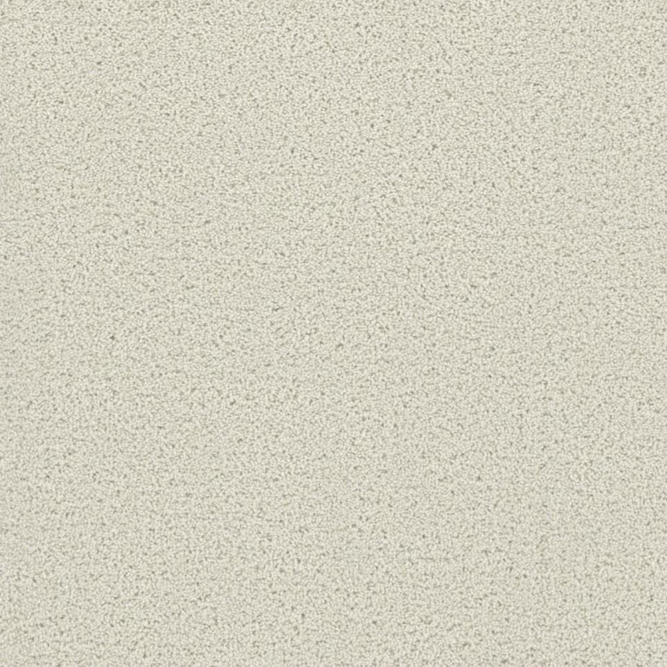 Cut Pile Fantasia Beige/Tan Carpet