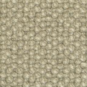 Loop Desire Beige/Tan Carpet