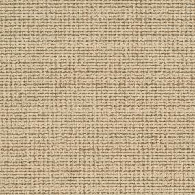 Loop Sisal Beige/Tan Carpet