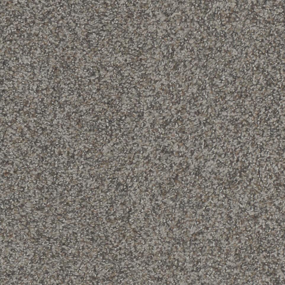 Textured Saxony Enchanted Beige/Tan Carpet