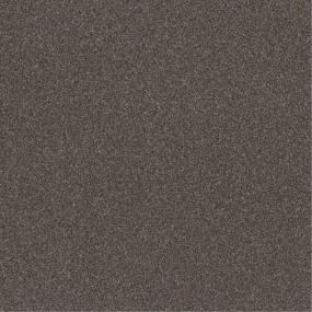 Casual Texture Canyon Slate Brown Carpet