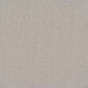 Textured Saxony Granite Beige/Tan Carpet