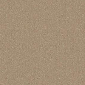 Pattern Bamboo Brown Carpet