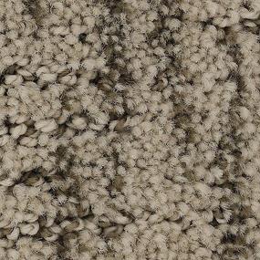 Pattern Harness  Carpet