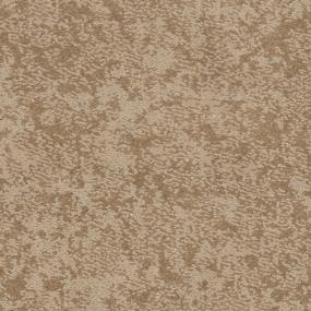 Pattern Adobe Beige/Tan Carpet