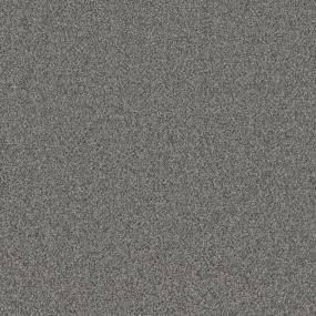 Textured Saxony Established Gray Carpet