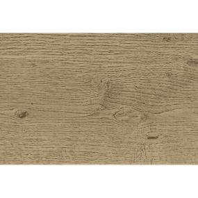 Tile Chariot Matte Medium Finish Tile