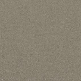 Textured Saxony Surreal Beige/Tan Carpet