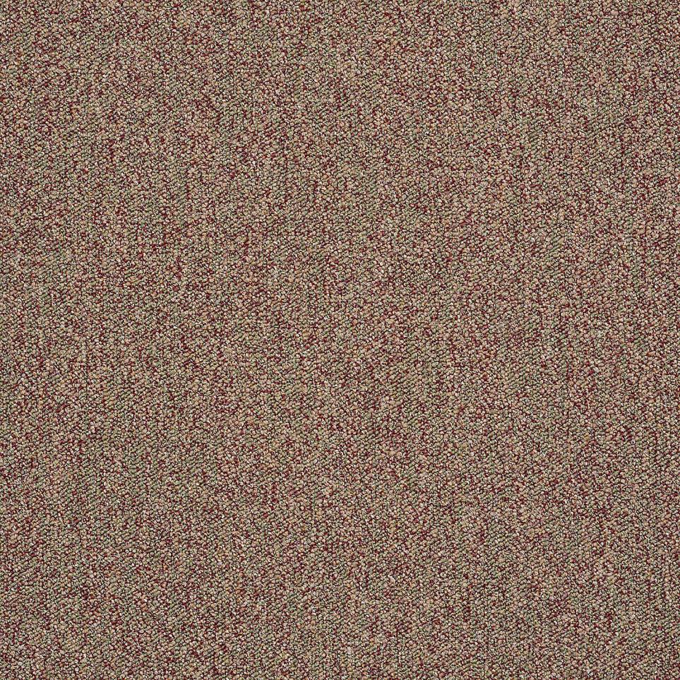 Loop Cymbal Beige/Tan Carpet