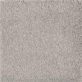 Textured Saxony Biscotti  Gray Carpet