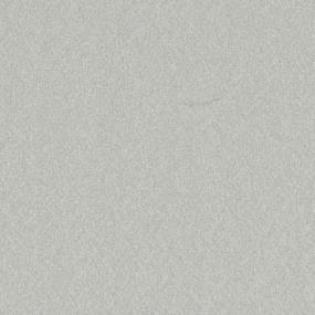 Casual Texture Pool Side Gray Carpet
